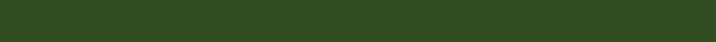 Rectangle1219